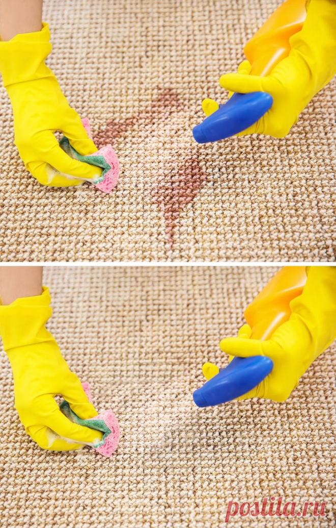 6 причин плохого запаха в вашем доме и способы их устранить - Все обо Всем