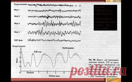 концепции современного естествознания