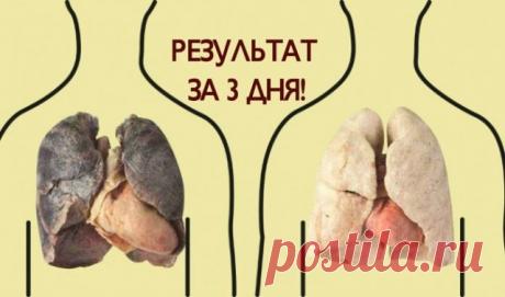 Самый классный способ очистить легкие! Вот что вам понадобится: - 1 небольшой кусочек корня имбиря; - 2 чайные ложки куркумы; - 1 литр воды; - 400 г чеснока (очищенного, и порезанного на