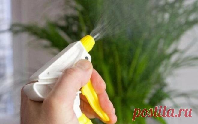 Отчаянная Домохозяйка | Дзен