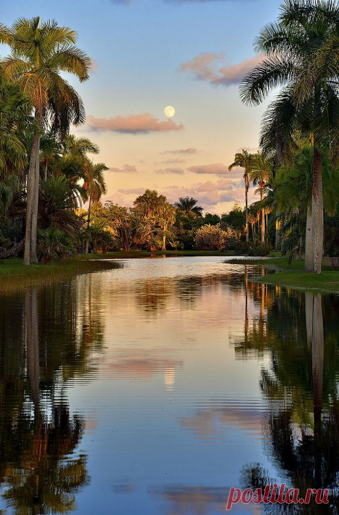 моря и реки