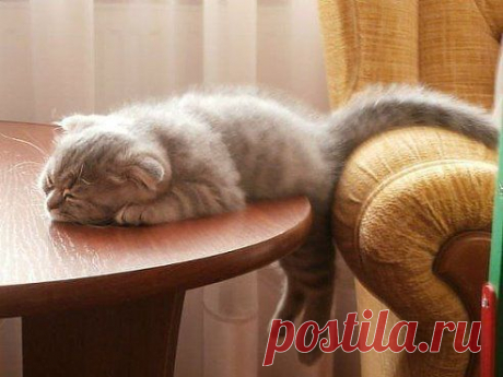 Одноклассники
