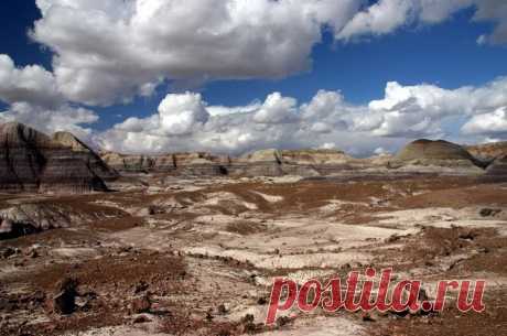 Окаменевший лес Аризоны - Путешествуем вместе