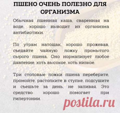 Пшено очень полезно для организма.