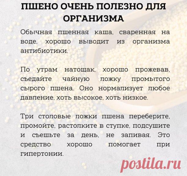Пшено очень полезно для организма.