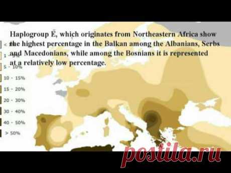 GENETICS OF BOSNIAKS