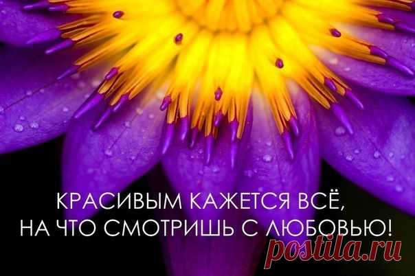 Что мы отдаём, то мы и получаем. Когда мы обкрадываем кого-то, жизнь неминуемо обкрадывает нас. Когда мы лжём, жизнь через окружающих людей платит нам тем же. Злые слова, возвращаются адресату, пославшему их. Такой человек постепенно начинает угасать, терзаемый чувством вины и сожаления. В итоге он тормозит свой путь развития и идёт по пути своей гибели. Когда человек посредством лжи хочет взять контроль над другим человеком, неотвратим эффект бумеранга — эта ложь вернётся в усиленном масштабе .