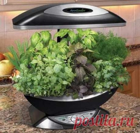 Мини теплица: характеристика, форма конструкции, размер