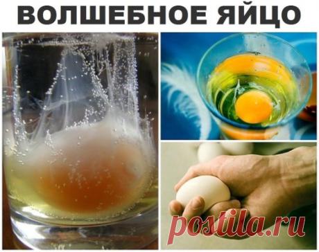 Снятие негатива с человека и лечения несложных болезней сырым яйцом. Перед сном: В стакан, наполовину наполненный водой, вбить сырое яйцо (не размешивать). Над стаканом произнести: «все худое, все плохое пусть вытекает в этот стакан», поставить у изголовья на ночь. Утром смотрим на яйцо в стакане. Желток — это жизнь человека, а белок — это среда, окружающая его: могут быть пузырьки, нити, которые тянутся вверх, туман, колпак, либо вообще яйцо «взбито до пены.» Зависть и недоброжелательность проя