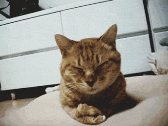 Svetlana Guro – Google+
