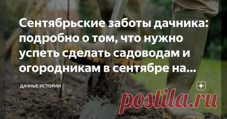 Сентябрьские заботы дачника: подробно о том, что нужно успеть сделать садоводам и огородникам в сентябре на приусадебном участке Статья автора «Дачные истории» в Дзене ✍: Добрый день, дорогие друзья, садоводы и огородники! Приветствую вас в нашем сообществе "Дачные истории".
