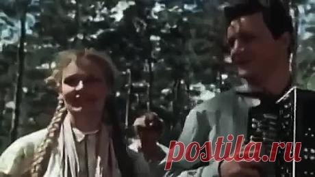 Расцвела у окошка...