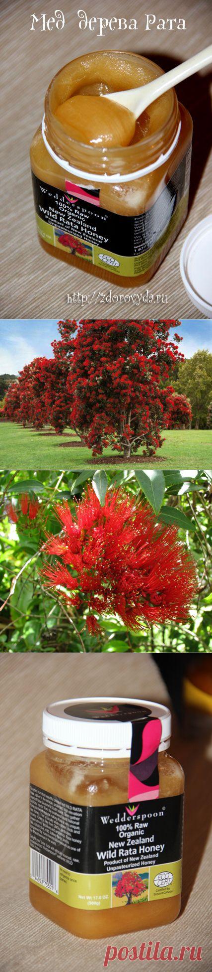Новозеландский мед. Мед Рата
