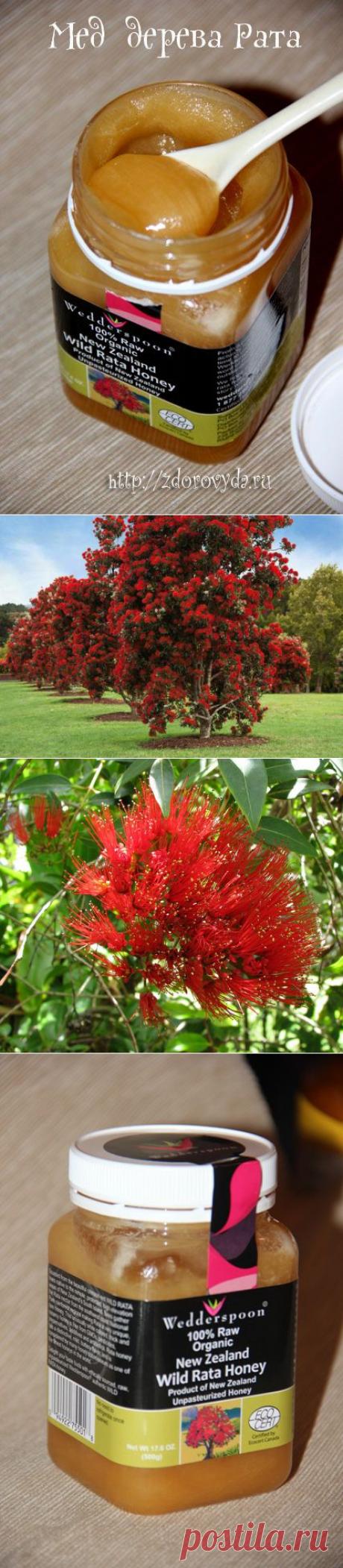 Новозеландский мед. Мед Рата