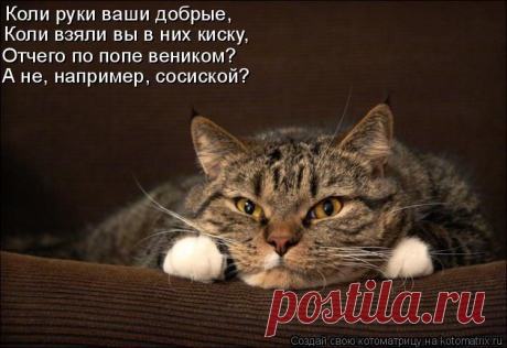 Котоматрица: Главная