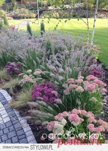 (123) Ornamental grass and flower garden idea. … | Planter til hagen