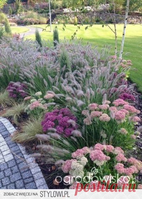 (123) Ornamental grass and flower garden idea. … | Planter til hagen