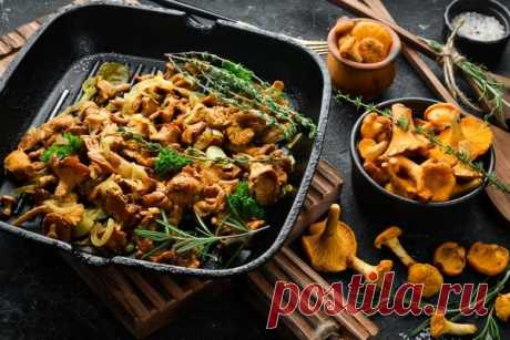 Рецепты блюд из грибов с пошаговыми фото