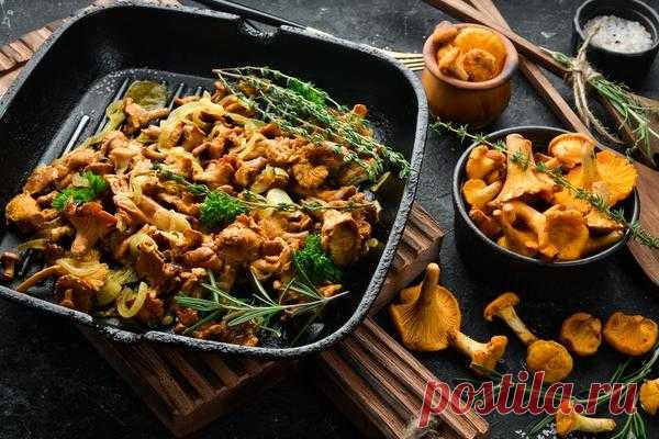 Рецепты блюд из грибов с пошаговыми фото