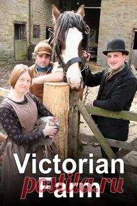 Викторианская ферма сериалы ЗДЕСЬ и СЕЙЧАС Victorian Farm Действие сериала происходит в английском поместье Актон, что в графстве Шропшир. Историки и археологи решили воссоздать историю сельского хозяйства Великобритании. в ролях Стефен Нунан, Питер Джинн, Рут Гудман