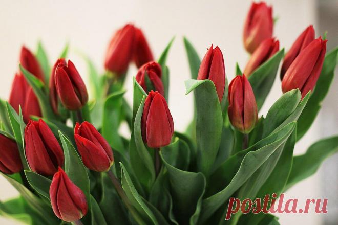 Что подарить учителю на 1 сентября: оригинальные идеи подарков
По традиции учителям на День Знаний дарят цветы, но красивый букет быстро завянет, останутся только воспоминания. Какой же полезный и запоминающийся подарок подарить учителю? В этой статье мы собрали топ-30 лучших идей для подарка, которые порадуют учителя. Источник изображения: pexels.com Источник изображения: pexels.com Напоминаем,...
Читай дальше на сайте. Жми подробнее ➡