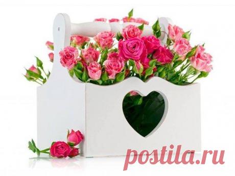 прекрасного настроения