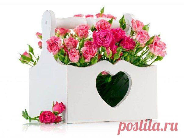 прекрасного настроения