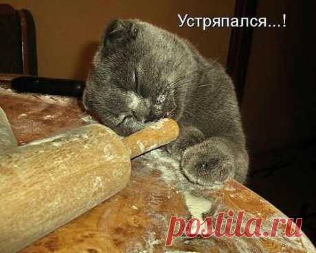 Ирина у нас отличная команда!: Все к лучшему в этом лучшем из миров!