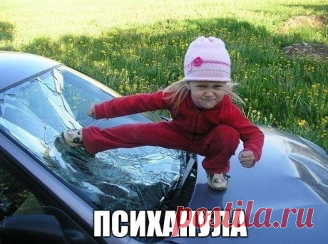 Смешные картинки с подписями