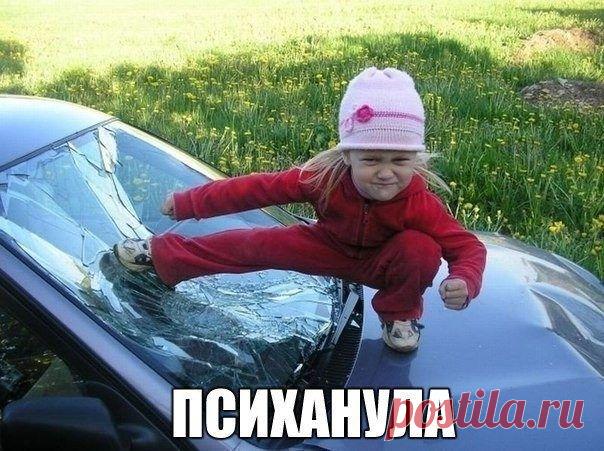 Смешные картинки с подписями