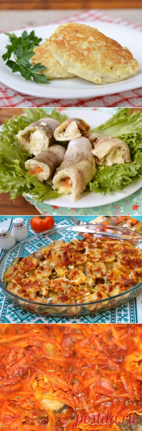 Блюда из хека — 20 рецептов с фото. Как приготовить хека?