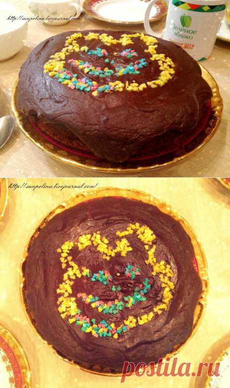 Солнечная - Мишин торт, шоколадный :)