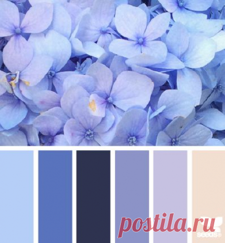 Design Seeds® | find your palette