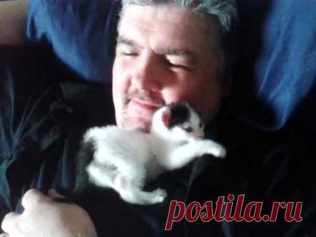Soft Kitty Warm Kitty