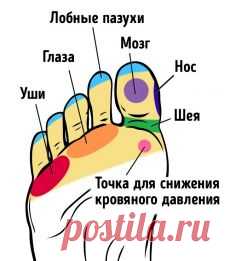 (17) Входящие — natasha0802@rambler.ru — Рамблер/почта
