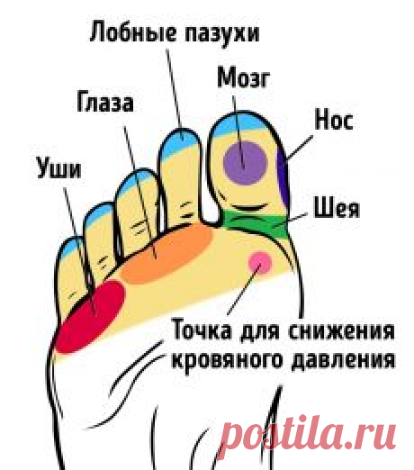 (17) Входящие — natasha0802@rambler.ru — Рамблер/почта