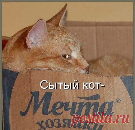 Лина Галина