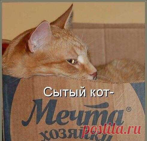 Лина Галина
