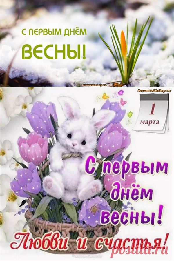 Форум родителей поздравляет с Днем Весны, с 1 марта! :: форум родителей, социальная сеть мам и пап