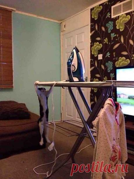 __За хозяйкой не присмотришь,  так она 
мой дом  в один момент спалит.