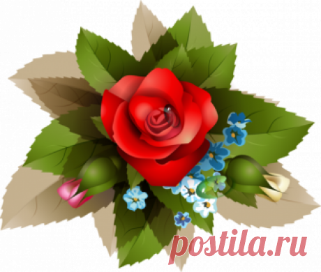 roses,pink,roze,rosa,fleur