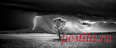 Обязательно взгляните;)) Победители фотоконкурса International Landscape Photographer Of The Year 2015 — Фотоискусство
