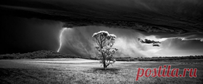 Обязательно взгляните;)) Победители фотоконкурса International Landscape Photographer Of The Year 2015 — Фотоискусство