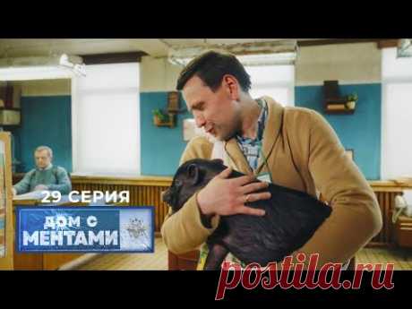 Дом с ментами | 29 серия | Свинское отношение