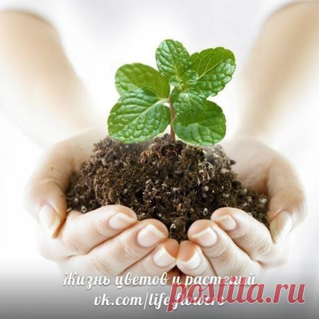 Мои закладки