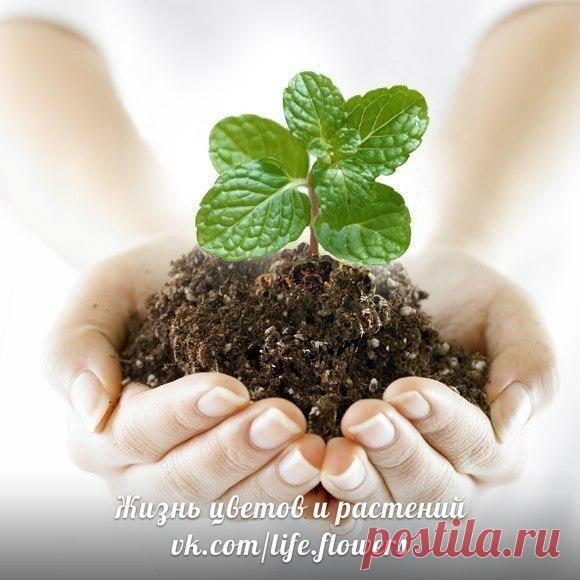 Мои закладки