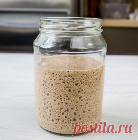 Кулинарный практикум: Как вырастить закваску для хлеба - Вкусный Блог