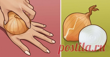 Сырой лук — источник молодости и сильнейший регенератор клеток! | Lady-Блог