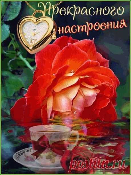 обожаю тебя картинки: 34 тыс изображений найдено в Яндекс.Картинках