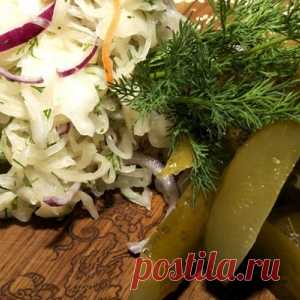 Как квасить и солить без ошибок? - МирТесен